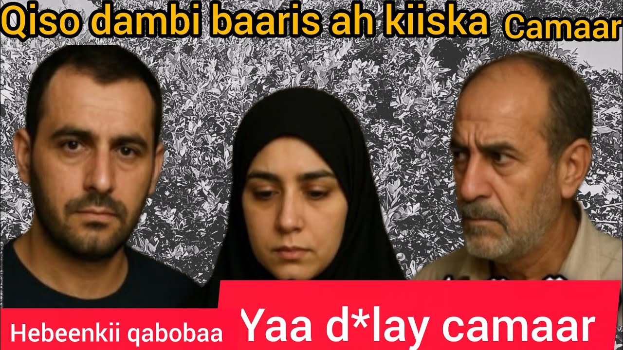 Qiso dambi baaris ah kiiska camaar iyo habeenkii qaboobaa @Hafsabilanchannel6337 