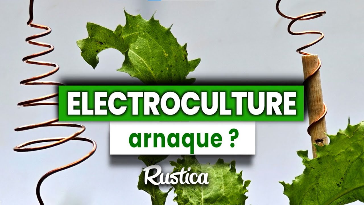 Electroculture : une arnaque ?