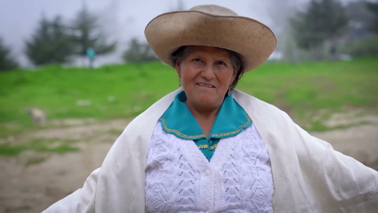 Nuestros casos exitosos