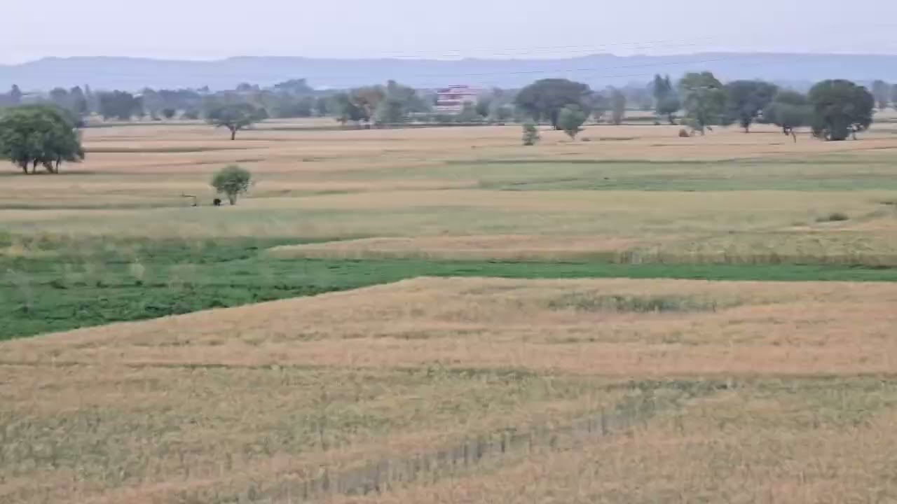 Mirkhani Pind 2025 April |Village Life |Punjab Life |Dinga |Gujrat |Pakistan