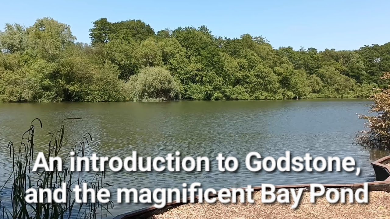 An introduction to historic Godstone and a visit to its beautiful Bay Pond nature reserve