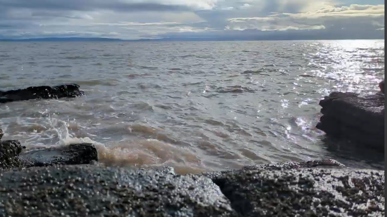 Slow Coastal Waves | Relaxing Ocean Ambience (24 Minutes)
