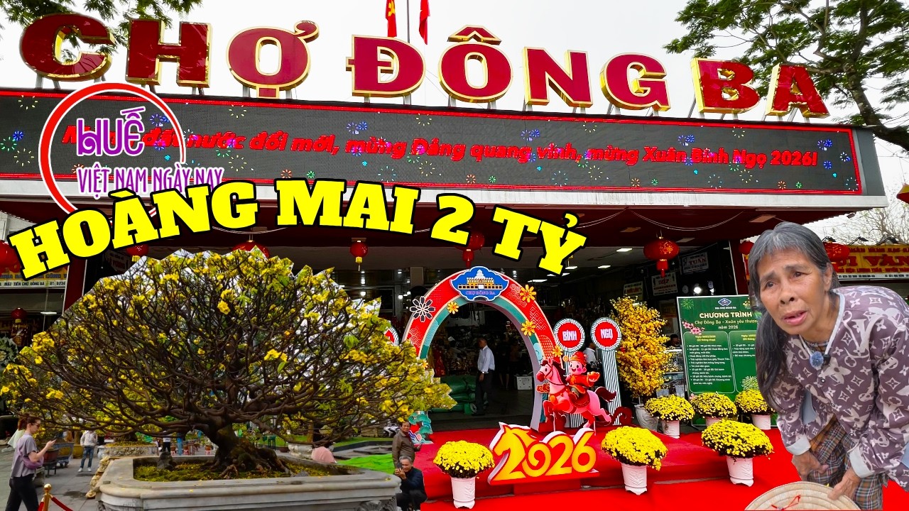 Rực rỡ sắc màu chợ Tết Đông Ba dạo đường phố Huế ngập hoa và khám phá nhân tố làm nên hoàng mai 2 tỷ