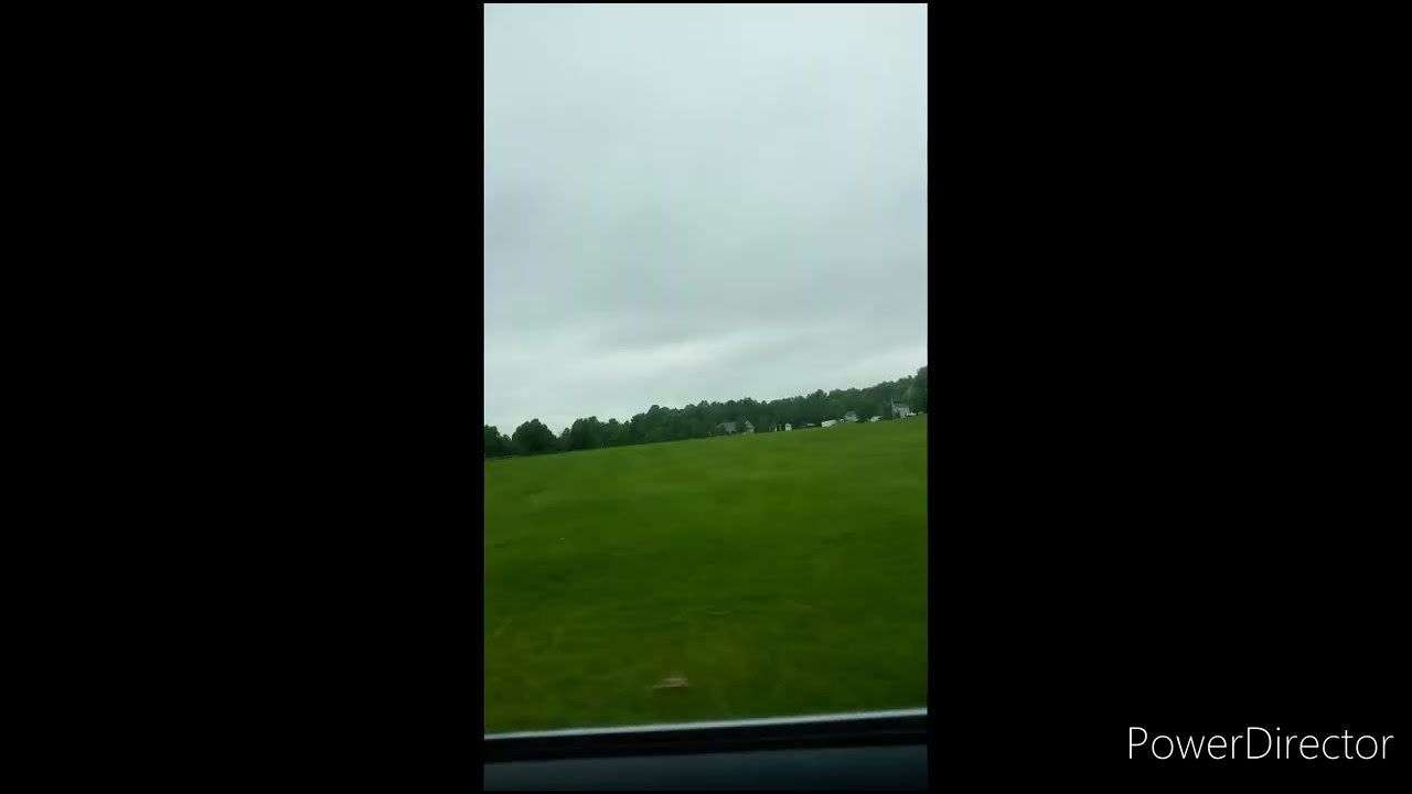 DShaw! - Reefer (Original Instrumental Score )