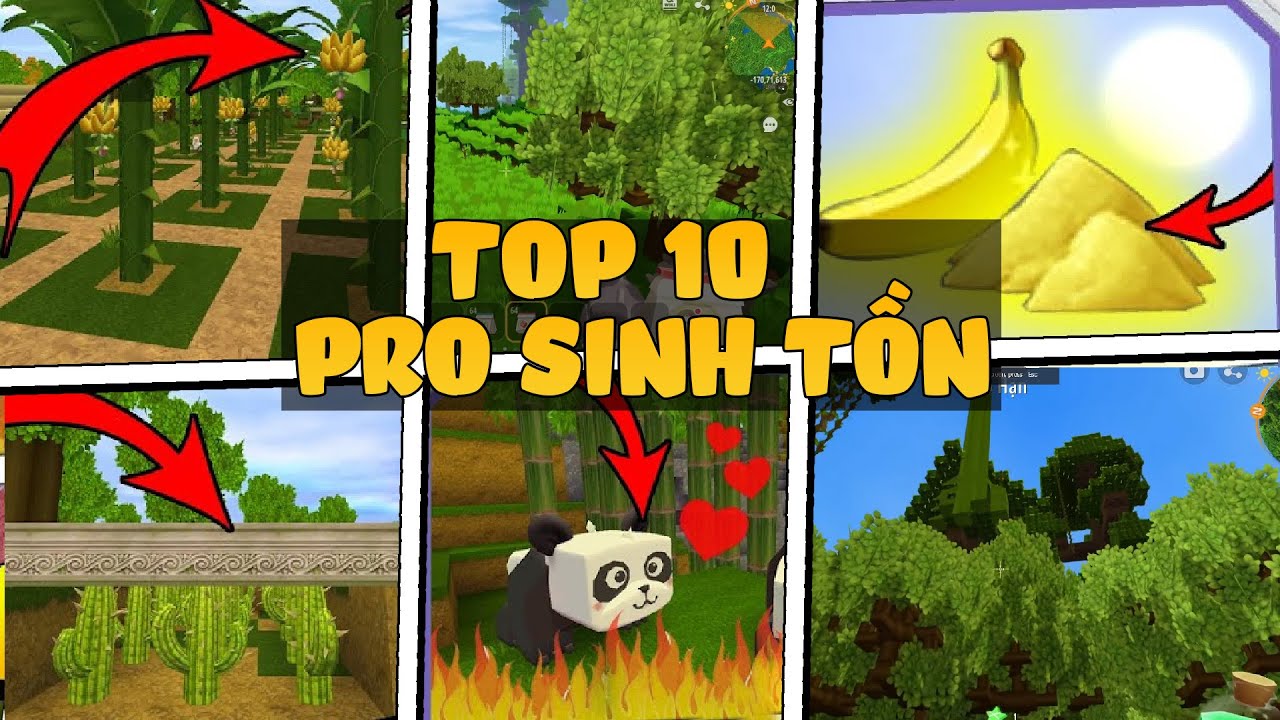 Top 10 dấu hiệu giúp bạn trở thành Pro sinh tồn Mini World