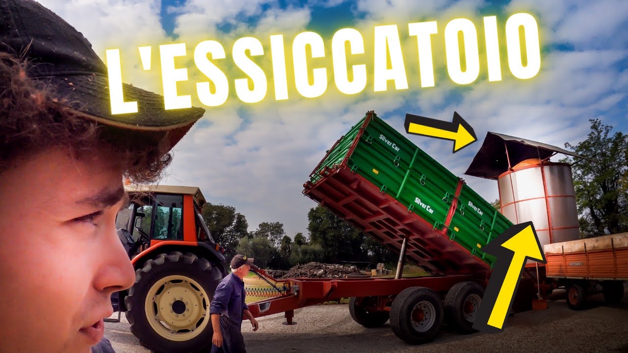 Trebbiatura Mais 2020 | Essiccazione e Stoccaggio | Filips Country