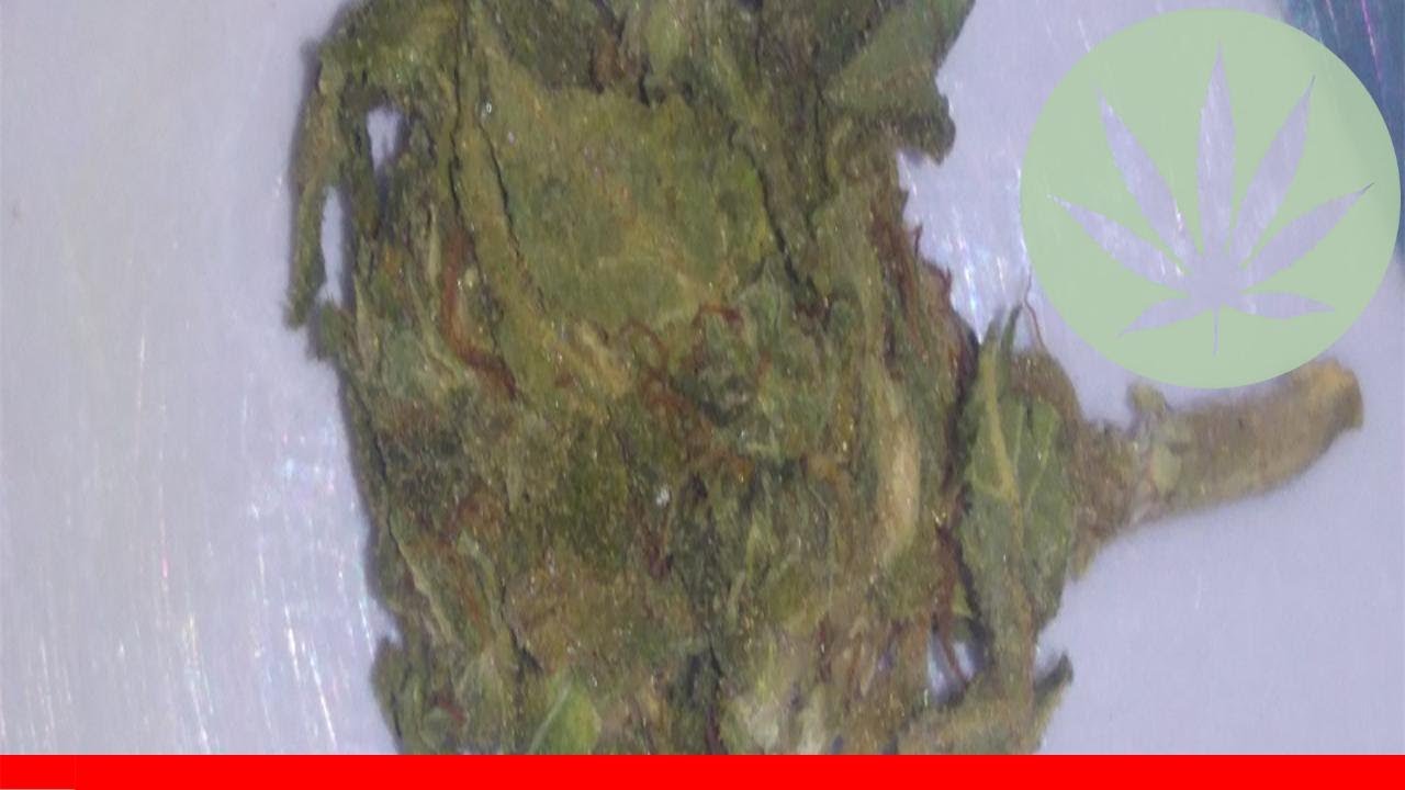 Heavy Duty Fruity - All About This Strain