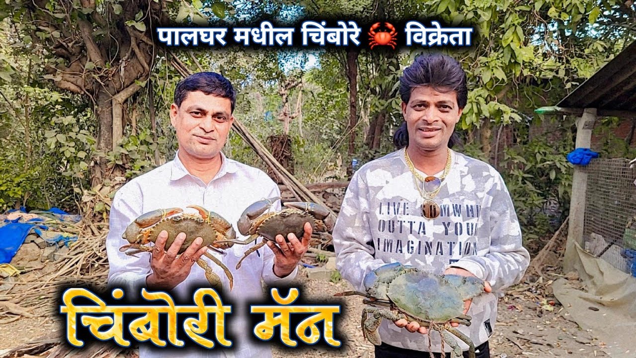 Palghar मधील चिंबोरी विक्रेता || बनला लाखोंचा धनी 😲
