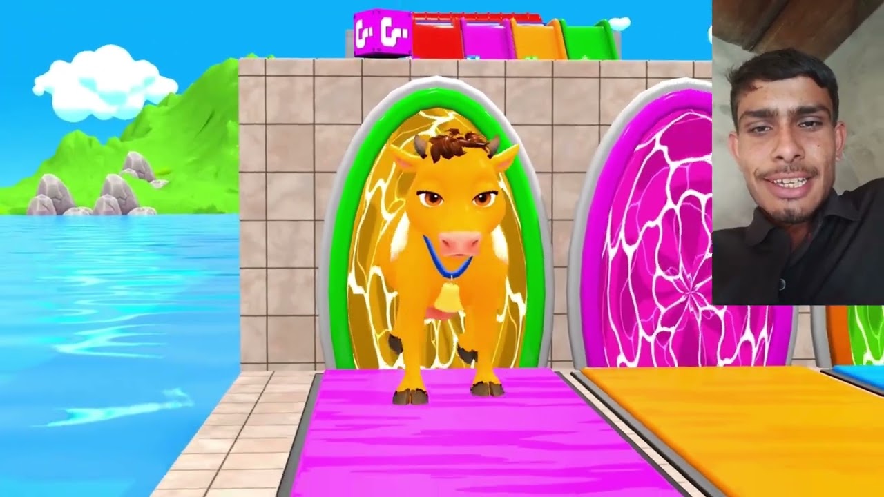 Long Slide Game with Cow Elephant Gorilla Hippopotamus Tiger 3d Animal Game Funny 3d Animals