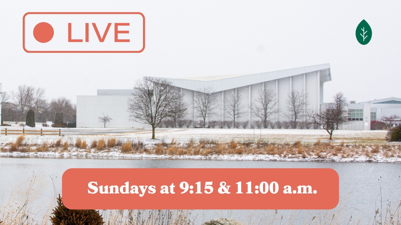 Sunday Services at Grace Church -11:00