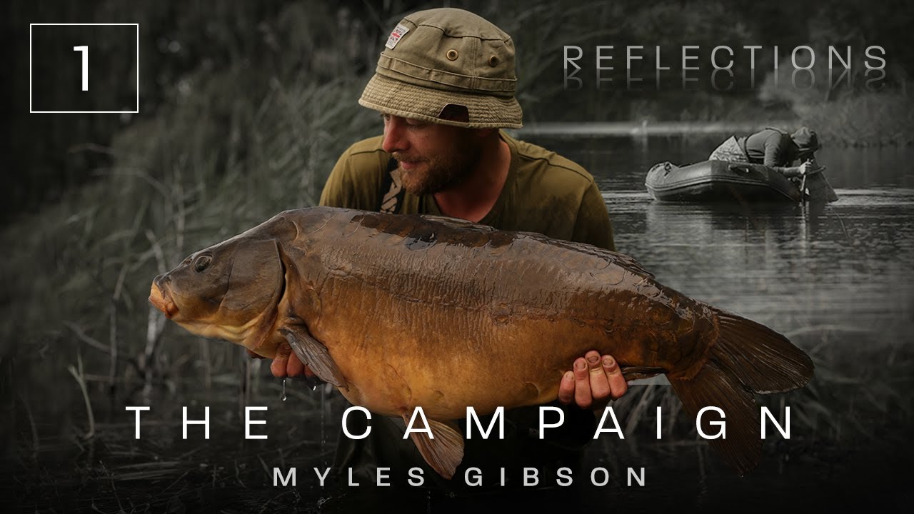 Chapter One | The Campaign | Reflections | Volume Three