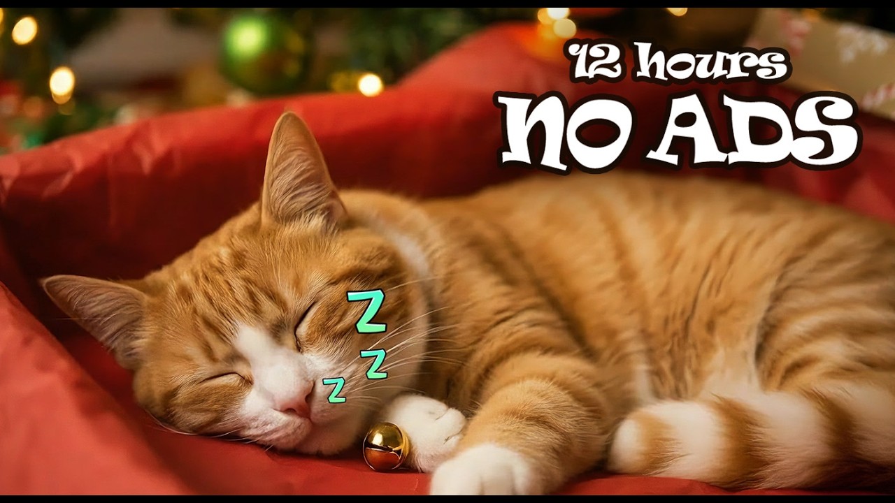 12 Hours UNINTERRUPTED Stress Relief Music for Cat Home Alone 😺 Help Cats Feel Safe & Relaxed
