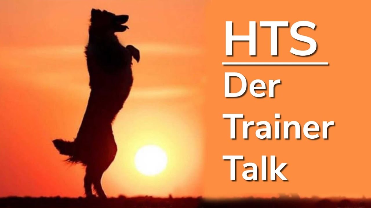HTS - Der Trainer Talk #12: Eure Fragen, unsere Antworten Teil 2