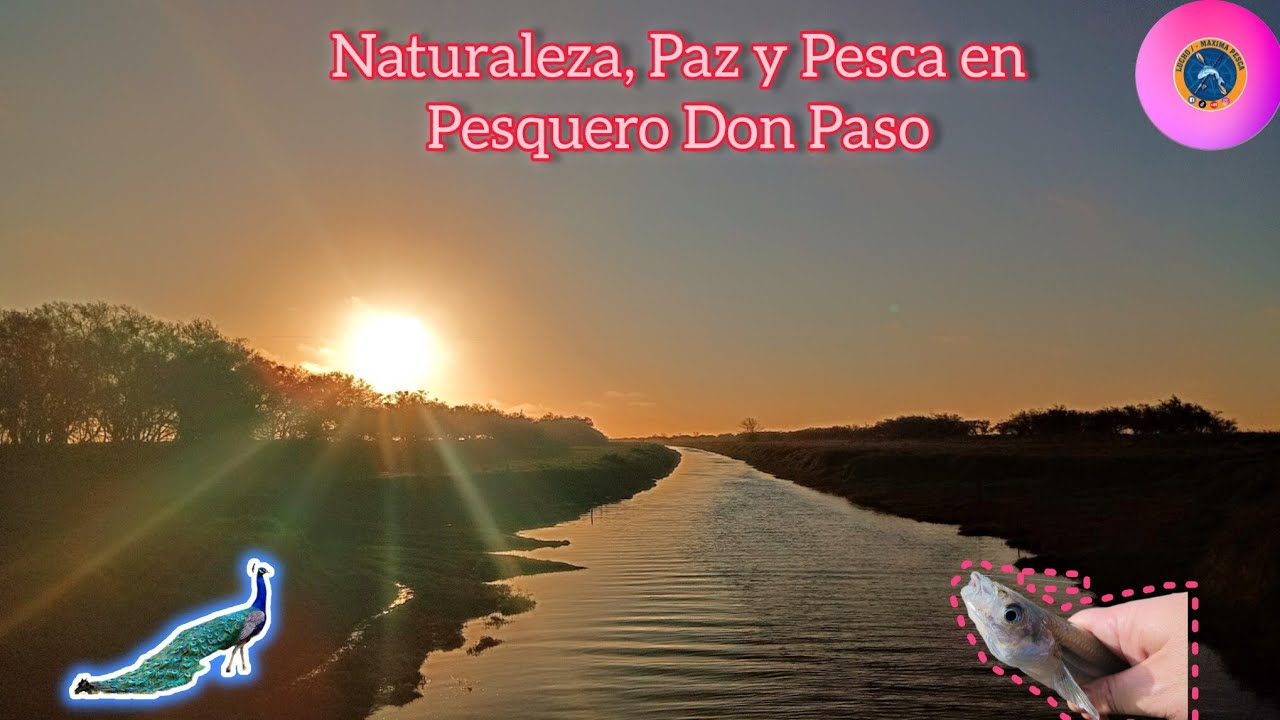 Rio Salado en el Pesquero Don Paso