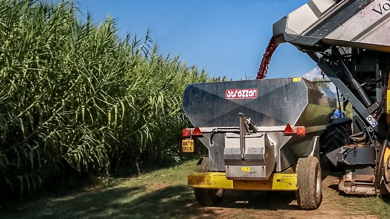 Rimorchio per uva Elevabile GRE - STRAZZARI, Vendemmia meccanica