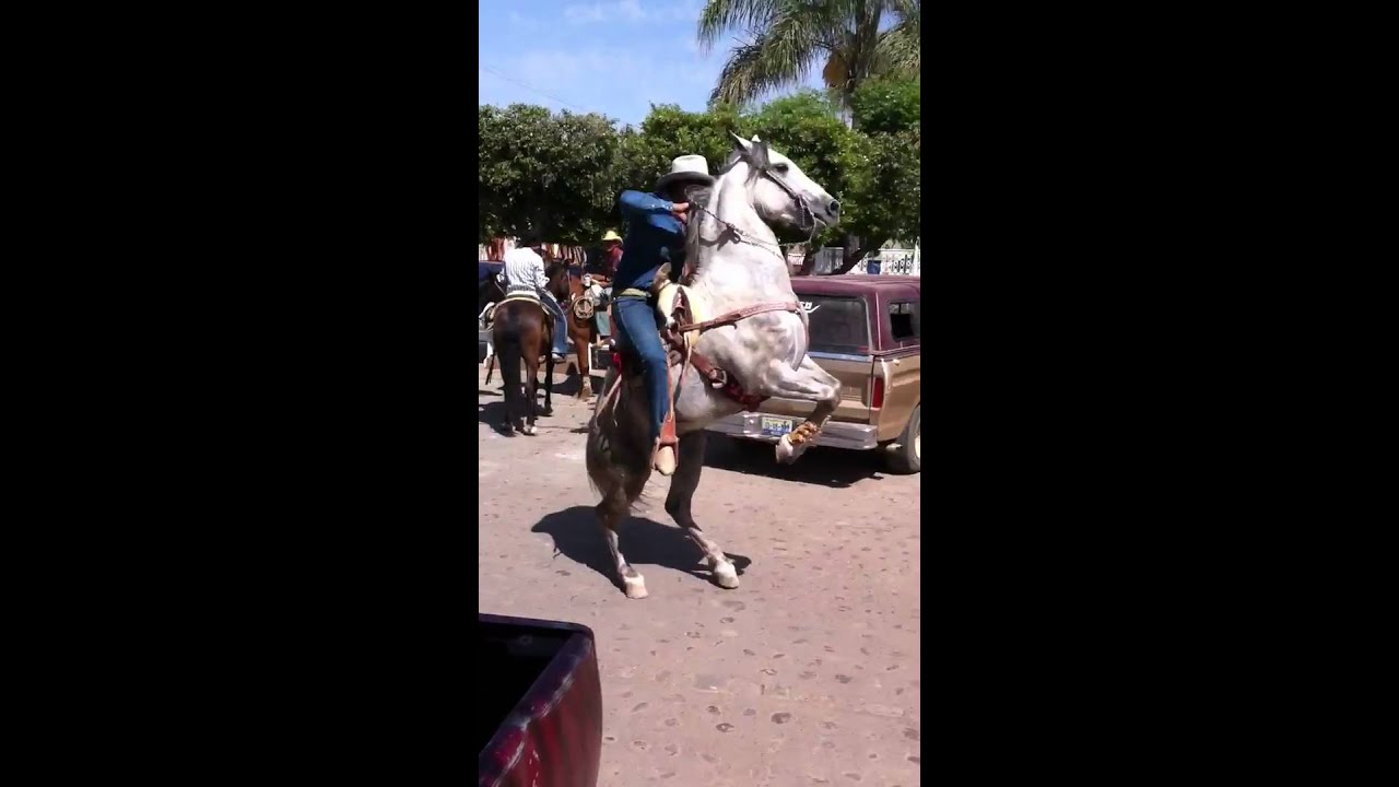 san juan del monte 2011