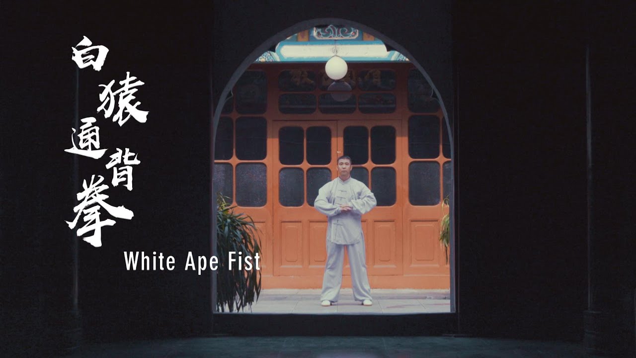 White Ape Tongbei Fist | 白猿通背拳：松肩活臂，灵快自如