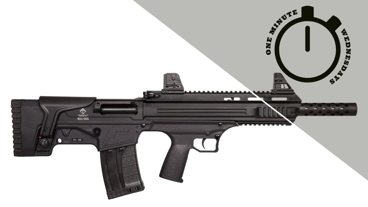 One Minute Wednesdays - American Tactical Bulldog Shotgun