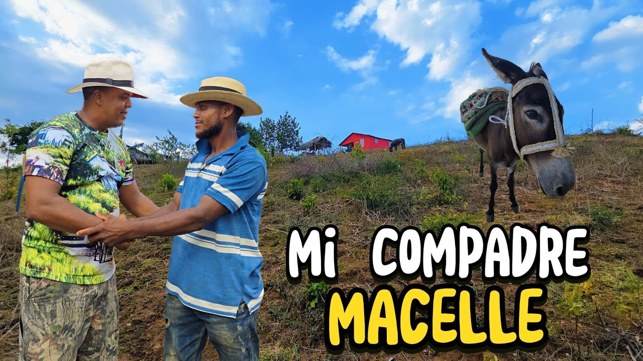Macelle Será PAPÁ Y Quieres Que El Reportero Sea Su COMPADRE