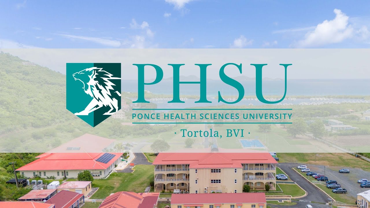 Tips for Future Medical Students - Webinar - Dec. 6, 2024