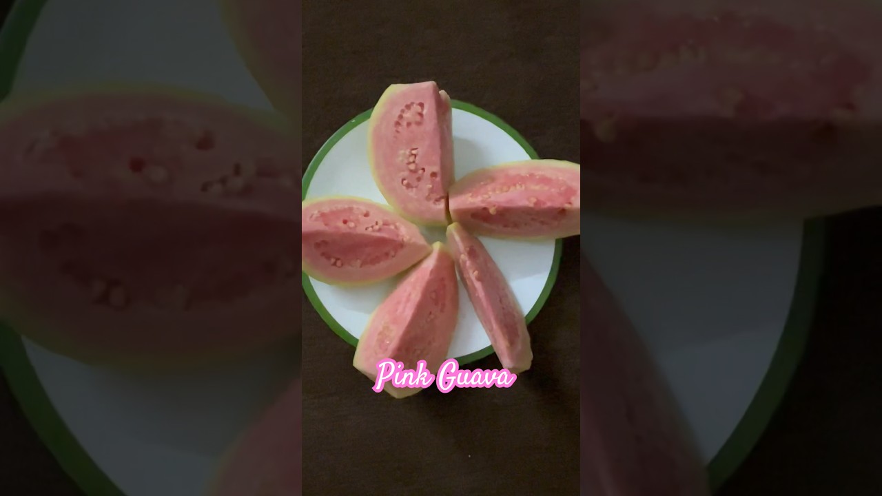 PINK GUAVA 