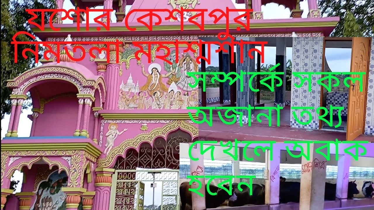 Jessore Keshabpur news | Jessore Keshabpur Bherchi Nimtala Crematorium | Little Lady Biker Nidhy