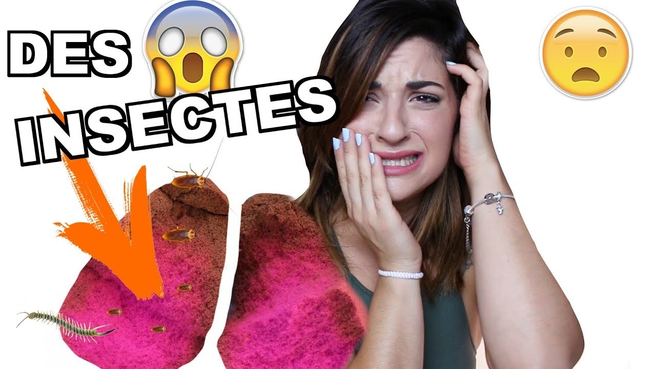 JE COUPE 3 BEAUTY BLENDERS ET JE RETROUVE ...😥 WTF