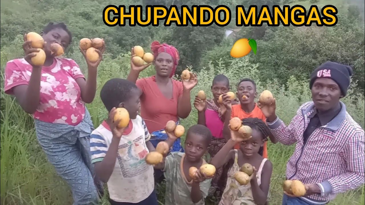 Divertindo Com Mangas 🥭 Na Zona da Textafrica Chimoio 