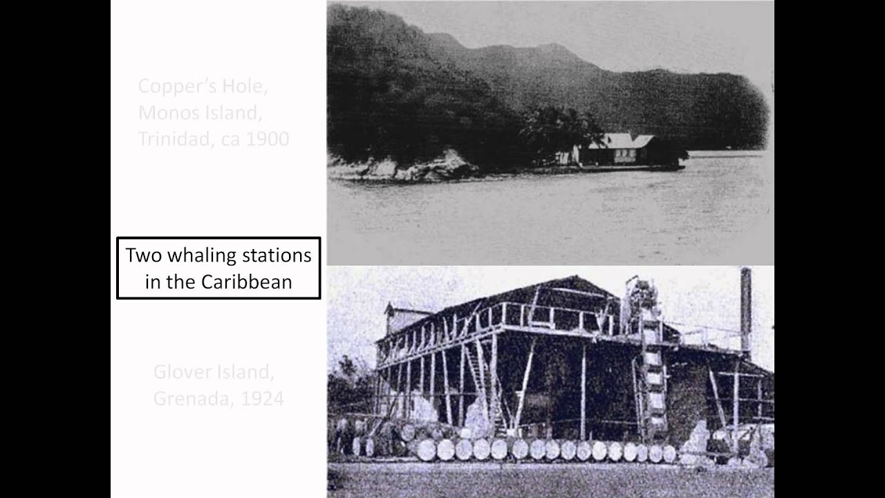 Old Barbados - Whaling in Barbados.avi