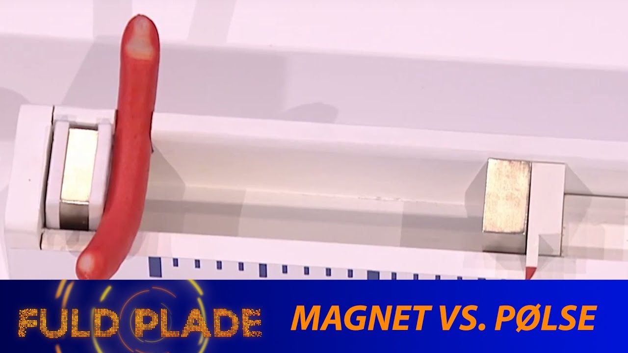Magnet vs. pølse | Fuld Plade | Program 5