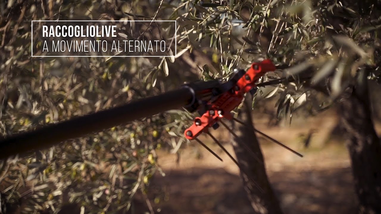 IT - OLEICULTURA - Agitatori per olive V5000 / ELECTROLIV - INFACO