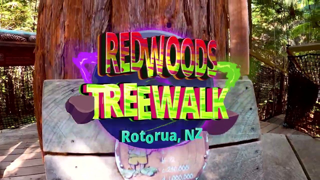 Redwoods Treewalk - Rotorua, NZ