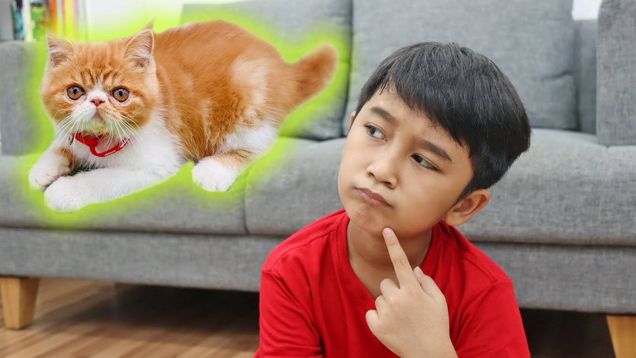 ZIYAN PENGEN ANAK KUCING