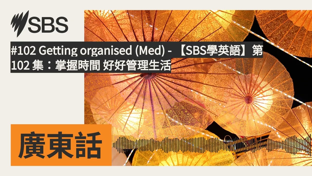 #102 Getting organised (Med) - 【SBS學英語】第102 集：掌握時間 好好管理生活 | SBS Cantonese - SBS廣東話節目