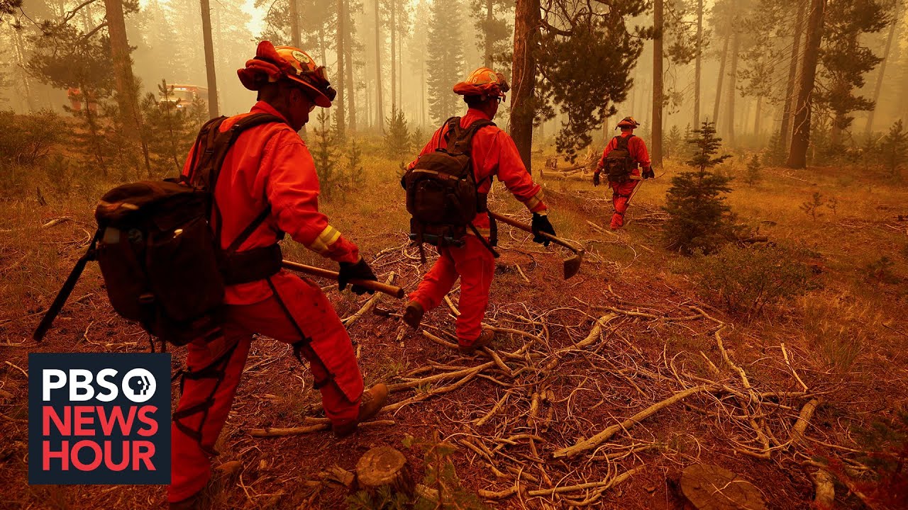California prison inmates become a critical resource for fighting wildfires