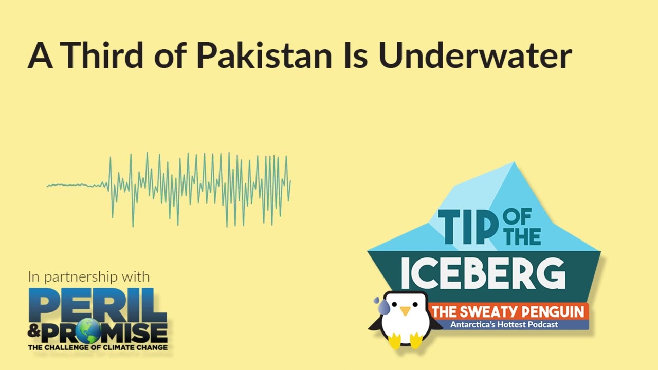 Pakistan&rsquo;s Recent Floods Demonstrate the Concern of Correlated Extreme Weather Events