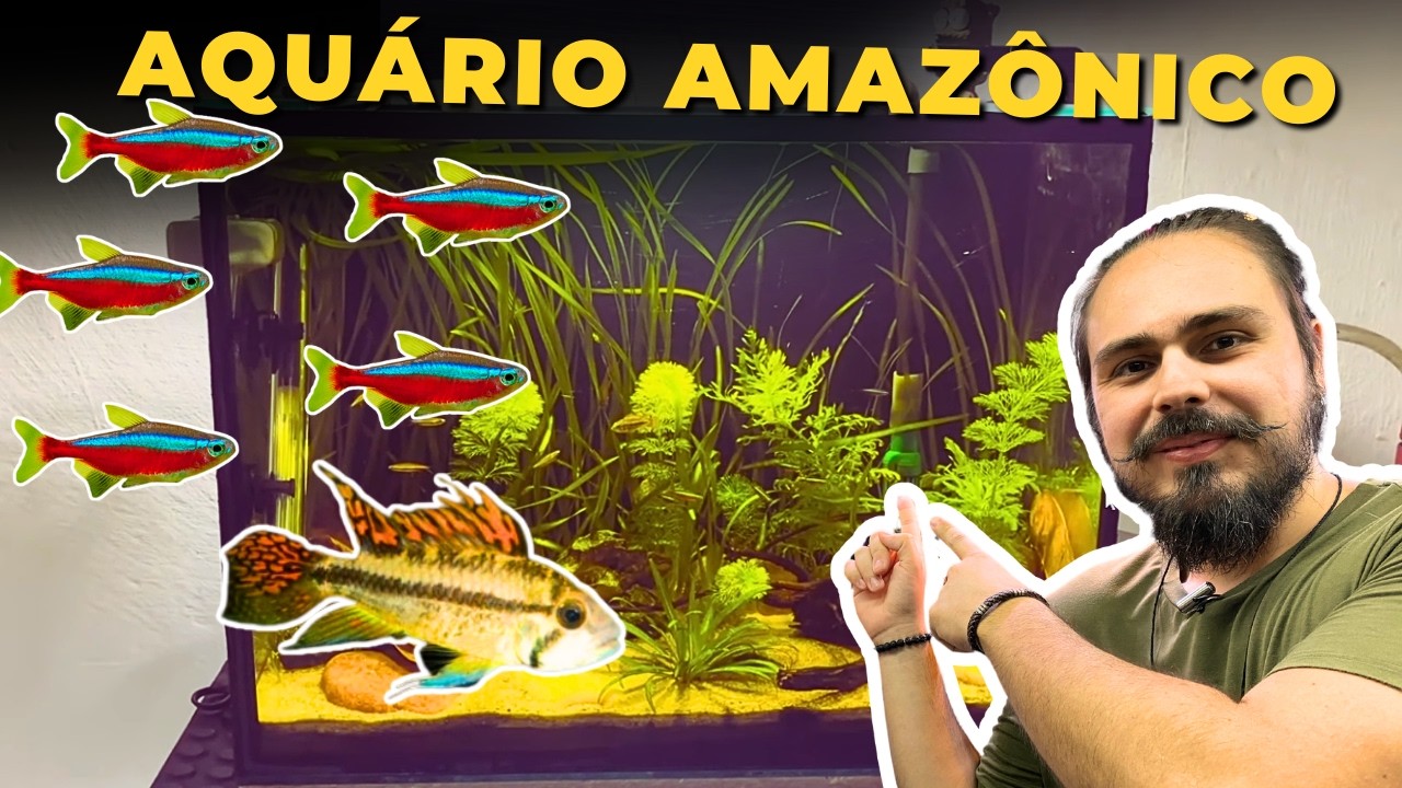 🔴O AQUÁRIO AMAZÔNICO DO ADAN |Mr. Betta|