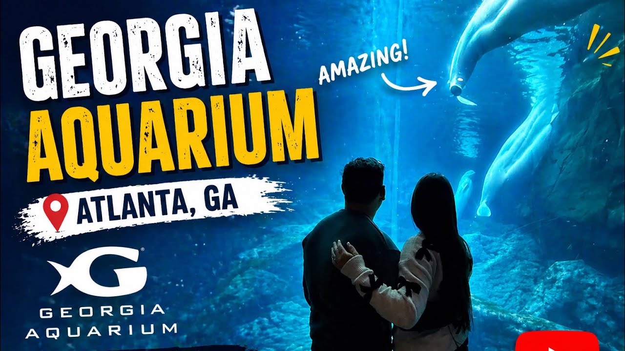 The Atlanta Georgia Aquarium (Insta360x5 - Biggest aquarium in the US)