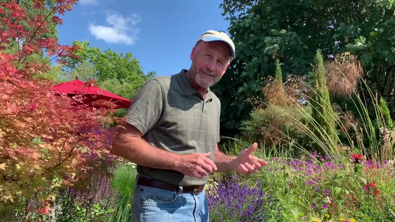 Seattle Garden Tour - Eric and Bev's Outdoor Room