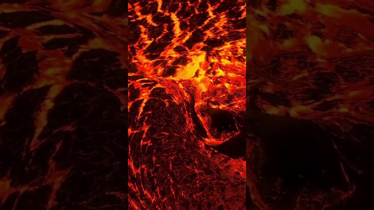Hotsea xd