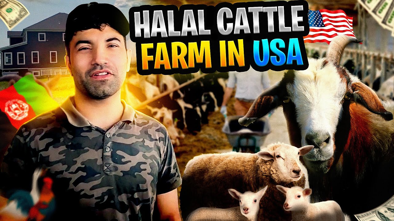 Madina Halal Farm | Nokesville,  | Virginia USA| Wakil Khan