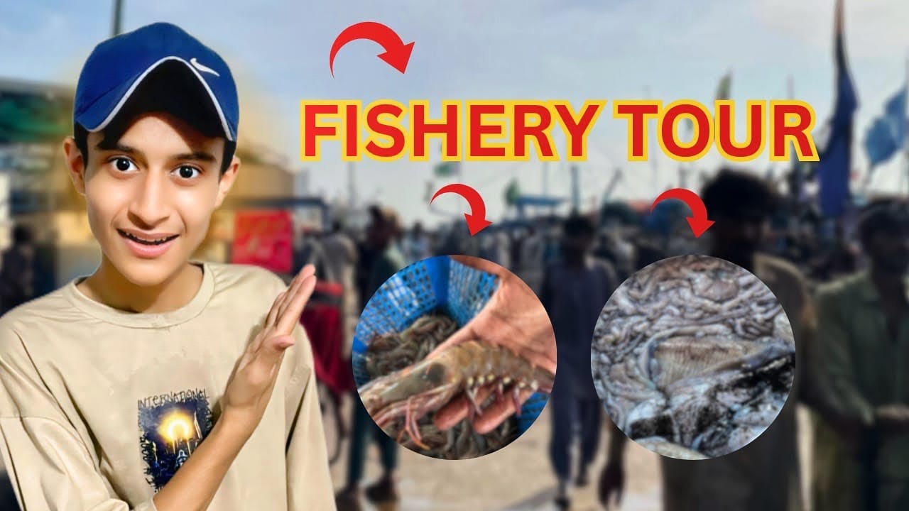 Karachi FISHERY 🐟 Market Full Tour 😊 | VLOG 28 | Explore Solo Vlogs
