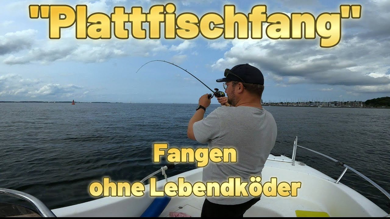Plattfischfang - ohne Lebendköder. Getrocknete Würmer und Partygarnelen.