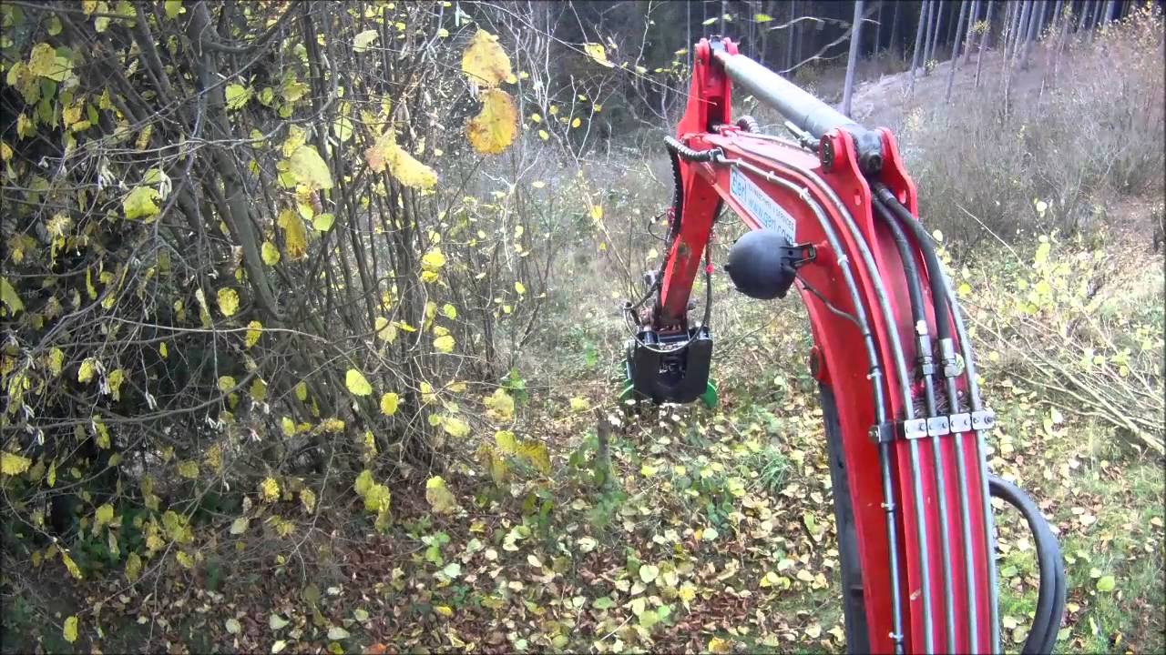 Neuson 3503 mit Energieholzgreifer Pichler PLA200