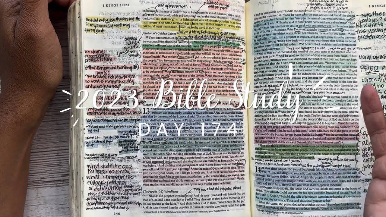 Study the Bible in One Year: Day 174 1 Kings 12-14 & 2 Chronicles 9
