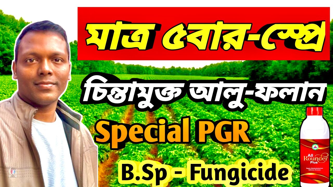 মাত্র ৫ টি স্প্রে✅ বাম্পার ফলন 🔥কাঠা প্রতি-৮ প্যাকেট ফলন 🎁@AgricultureBook 