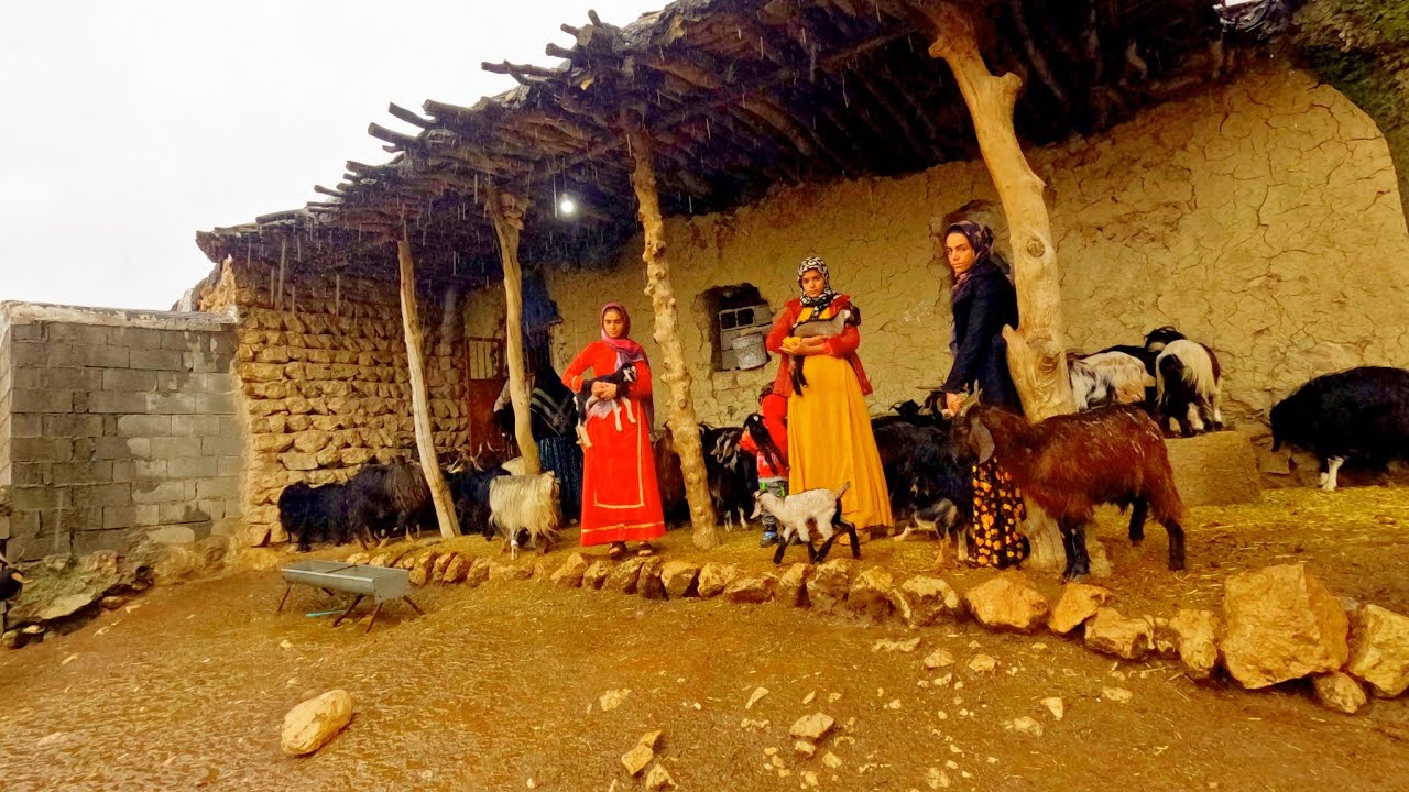 Taking care of Livestock Under the Rain: Village life of Iran