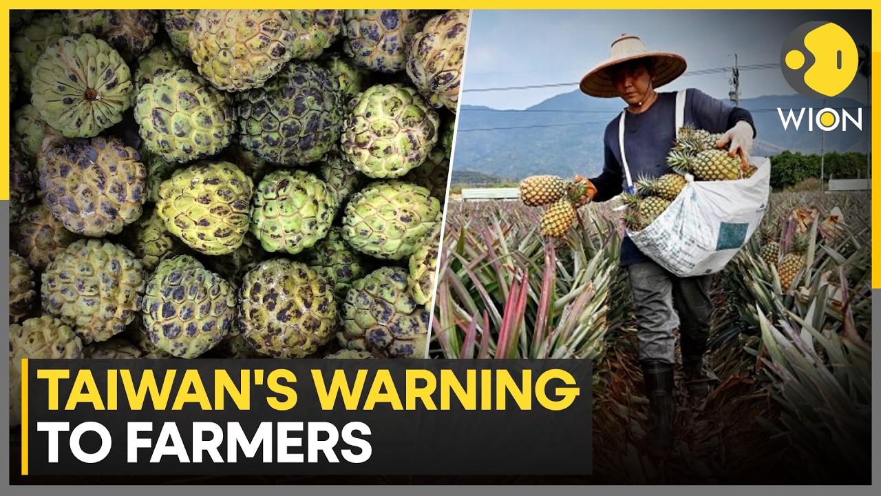 China-Taiwan Tensions: Can Fruit Become a Political Weapon? | WION News