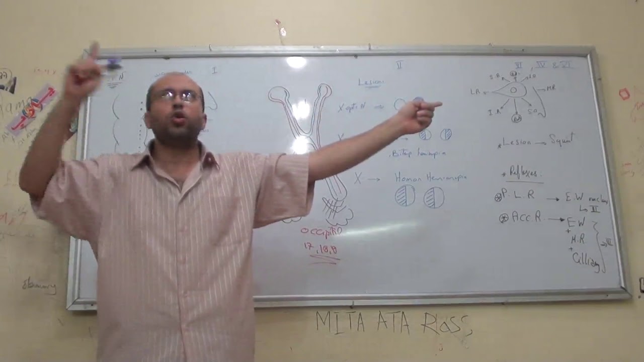 11-Cranial nerves  دكتور يوسف