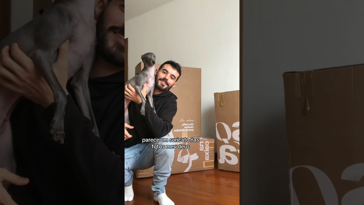 Quem nunca viu um cachorro em choque com a mudan&ccedil;a da fam&iacute;lia? #pets #cachorro#mudan&ccedil;a
